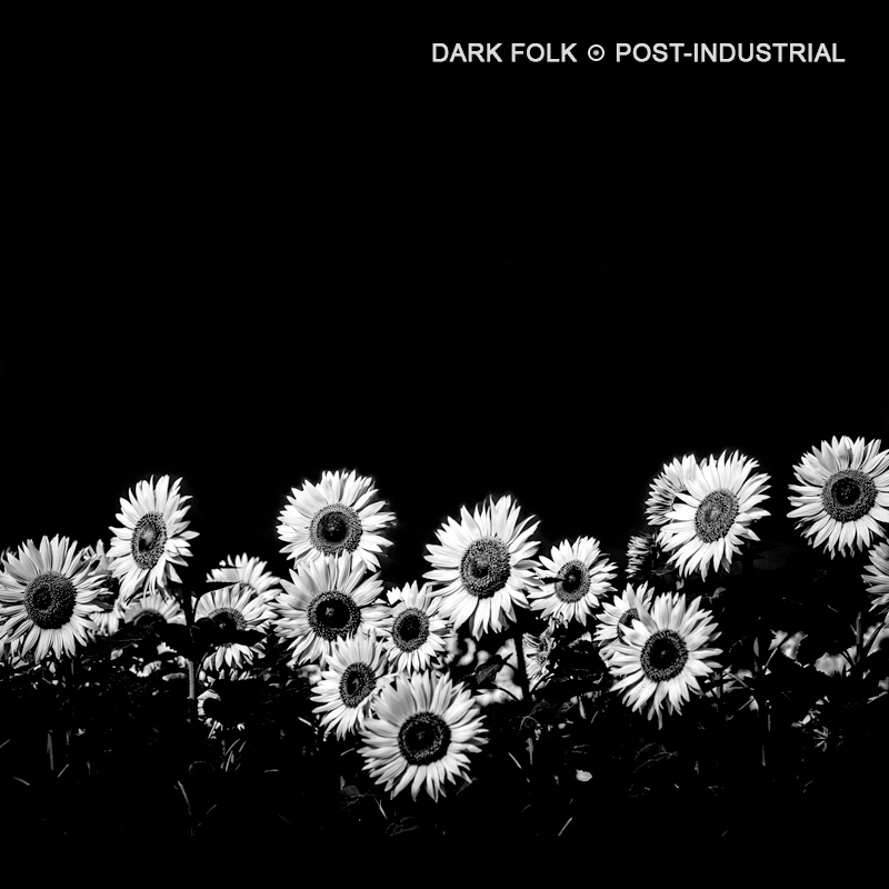 dark folk post-industrial